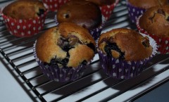 blueberry coconut muffins