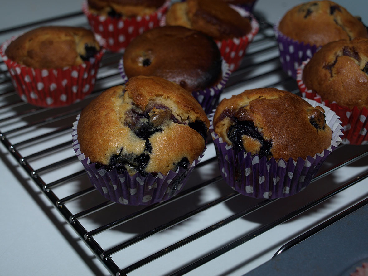 blueberry coconut muffins